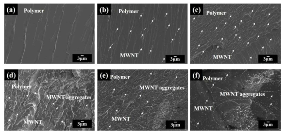 Dispersion of MWNTs in the fracture surface of formulated nano hybrid composite with different MWNT weight percent of (a) 0 wt.%, (b) 0.03 wt.%, (c) 0.1 wt.%, (d) 0.5 wt.%, (e) 1 wt.% and (f) 2 wt.%.
