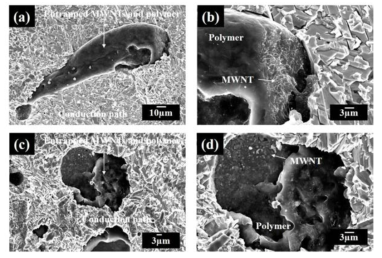 Morphology of the entrapped hybrid composite filled with aggregated MWNT on the conduction path for nano hybrid ICA composites with different MWNT weight percent of (a), (b) 1 wt.% and (c), (d) 2 wt.%.