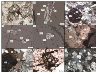Photomicrographs and BSE images showing typical mineral assemblages in the gneisses and anorthosite in the study area