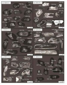 SEM CL images of zircons from the granite, leucocratic granite and porphyritic gneiss and migmatite