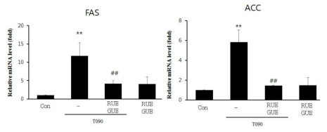 Inhibitory effect of RUE and GUE on fatty liver related genes expression