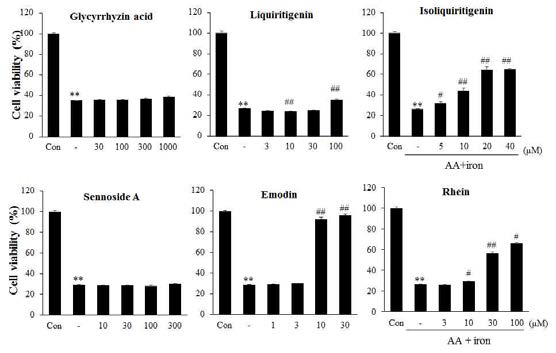 Protective effect of GUE and RUE on AA +iron -induced apoptosis of HepG2 cells