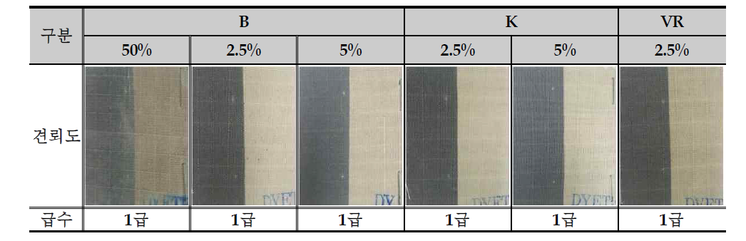 Direct Coating 방식 적용 일광견뢰도 Test