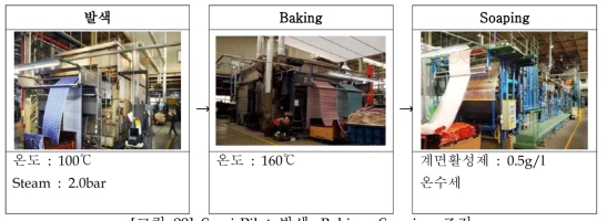 Semi-Pilot 발색, Baking, Soaping 조건