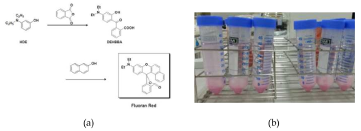Fluoran계 Red 색소(a)와 제조한 마이크로캡슐의 원심 분리 상태(b)