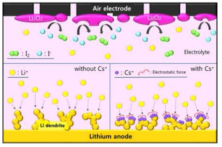 Schematic diagram showing multiple functions of the CsI redox mediator.