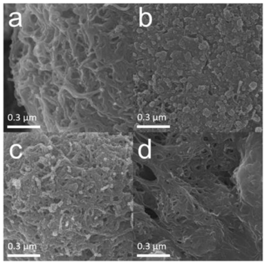 SEM images of (a) pristine air electrode of PEDOT:PSS-coated CNTs, and the electrode after 50 cycles using (b) the LiTFSI electrolyte, (c) the LiNO3 electrolyte, (d) the CsI electrolyte.