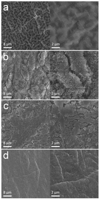 SEM images of the Li anode before testing (pristine) and after cycling.