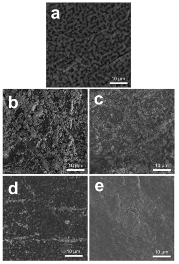 SEM images of the surface of the Li anode before testing (pristine) and after cycling.