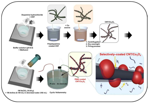 Schematic illustration showing preparation of the selectively PANI-coated CNT/Co3O4 nanocomposites.