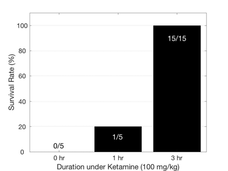LPSE 유도한 늙은 군에서 Ketamine 처리에 따른 생존율 관찰. Data는 3일 이상 생존한 rat의 수/실험한 rat의 수.