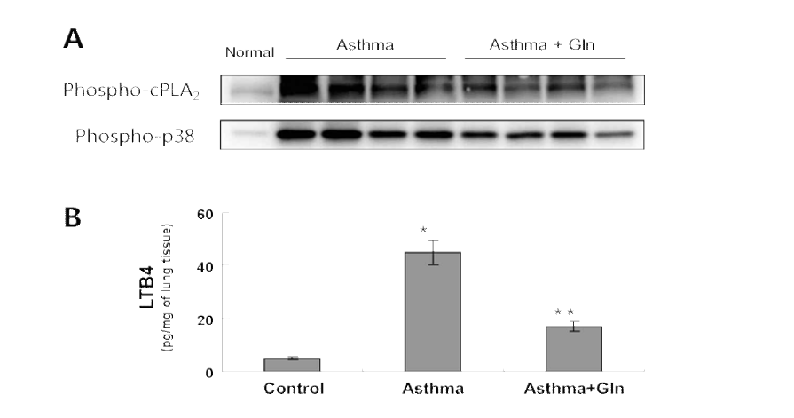 Inhibition of cPLA2 and p38 phosphorylation