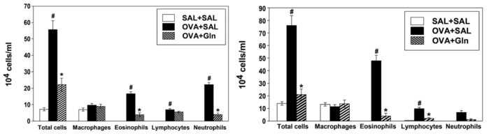 Inhibition of recruitment of inflammatory cells into the airway by oral intake of Gln in two indipendent experiments.