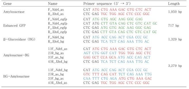 Fusion protein primers.