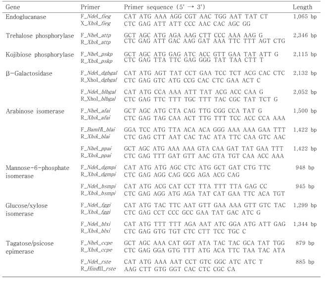 Sequence of the primers