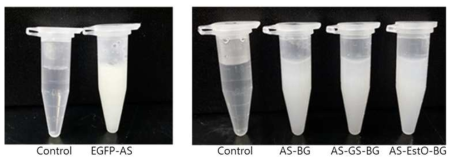 Insoluble polysaccharides by polymerization activity of amylosucrase.