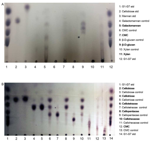 TLC analysis of action pattern of endoglucanse from Fervidobacterium islandicum.