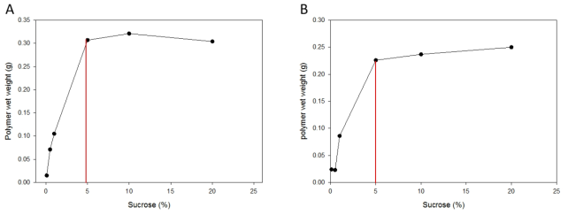 Amount of glucan polymer synthesized by A) ATTP-DGAS, B) PSKP-DGAS.