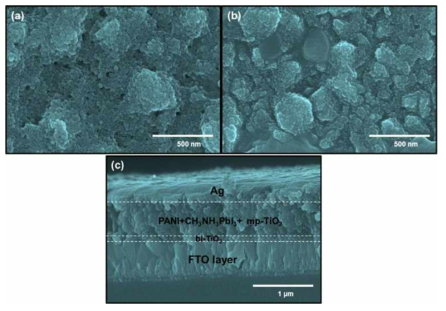 Surface FESEM images of (a) mp-anatase-TiO2/bl-TiO2/FTO, (b) CH3NH3PbI3/mp-anatase- TiO2/bl-TiO2/FTO, and (c) cross section of Ag/PANI-NPs/CH3NH3PbI3/mp-anatase-TiO2/bl-TiO2/FTO thin film.