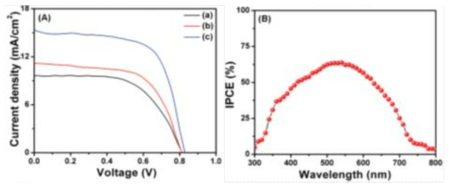 (A) J–V curves of (a) 50 nm, (b) 75 nm and (c) 100 nm Ti thickness based flexible perovskite solar cells. (B) IPCE curve of the fabricated PET-ITO/Ti/CH3NH3PbI3/spiro-OMeTAD/Agflexible perovskite solar cell with a Ti thickness of ∼100 nm.