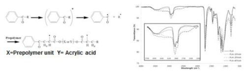 아크릴산이 도입된 poly urethane acrylate의 구조와 화학적 특성
