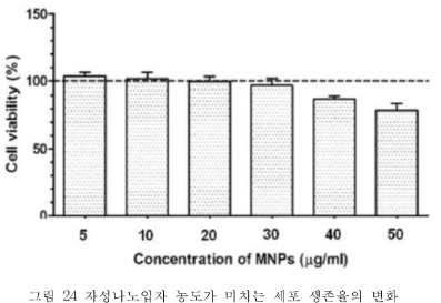 자성나노입자 농도가 미치는 세포 생존율의 변화