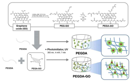 PEGDA-GO 합성 방법