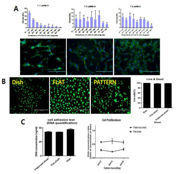 패턴의 임베디드 및 세포 부착