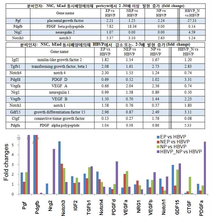 동시배양에의해 pericyte에서 발현이 증가하는 분비인자 (fold change)이 증가함.