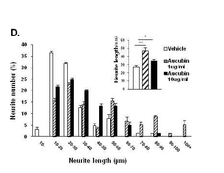 ACB은 신경줄기세포 배 양시 NeuN+cells, MAP2+cells의 신경세포 Neurite 평균 길이 성장 을 증진하여 신경재생을 촉진함