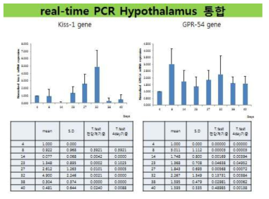 암컷 흰쥐에서 발달단계에 따른 시상하부 kiss-1과 GPR54 유전자의 발현