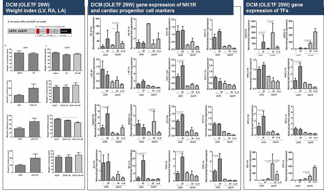 OLETF 당뇨쥐 심장 RA 에서 심근줄기세포활성 유전자의 변화 분석
