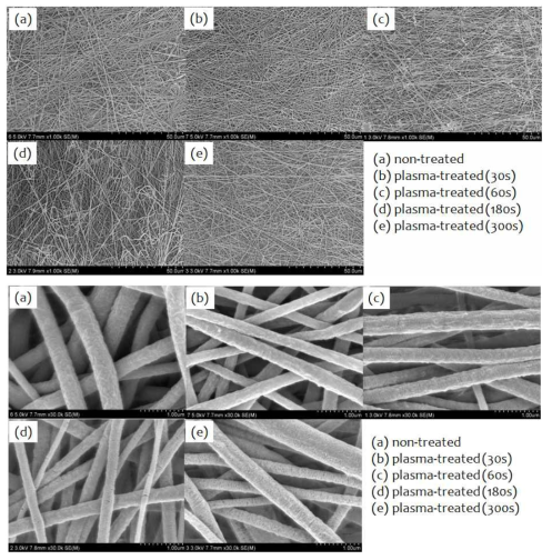 SEM images of plasma-treated PVdF nanomembrane