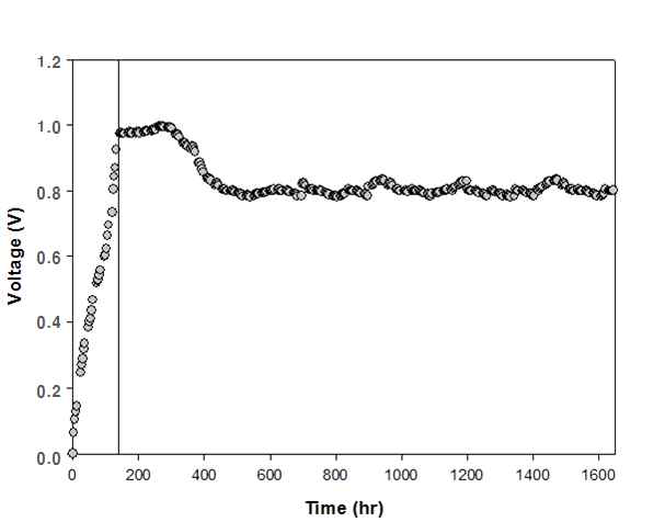 Voltage generation of the microbial fuel cell continuous system.