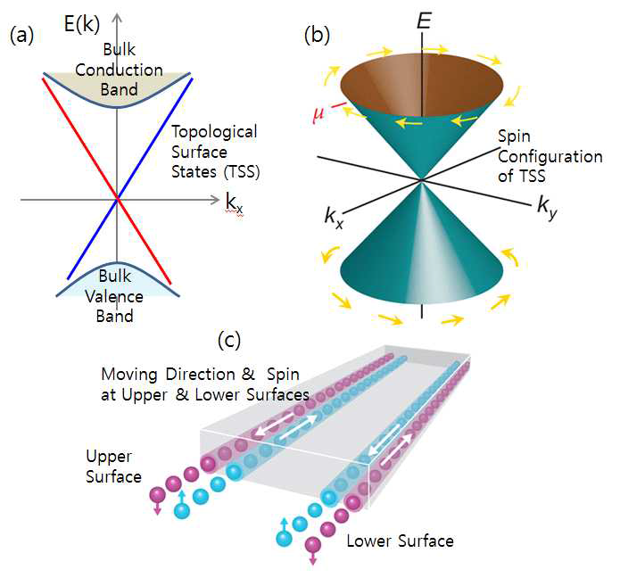위상물질의 (a) 전자 밴드구조와 (b) 스핀 구조. 스핀은 원을 따라 빙빙도는 helical한 구조를 갖는다. (c) 스핀방향과 운동방향이 연관성을 갖는 것을 표현한 그림. 위상물질의 아래쪽 표면에서는 오른쪽으로 움직이는 전자는 모두 up, 왼쪽으로 움직이는 전자는 모두 down 스핀을 갖고, 위쪽 표면에서는 이와 반대로 왼쪽으로 움직이는 전자는 모두 up, 오른쪽으로 움직이는 전자는 모두 down 스핀을 갖는다.