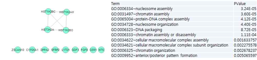 (좌) 줄기세포의 간세포로의 분화 도중 발현이 줄어든 유전자들의 HumanNet 내에서의 연결 고리. (우) 이 발현이 줄어든 유전자들의 GeneOntology에서의 Biological Process에서의 역할