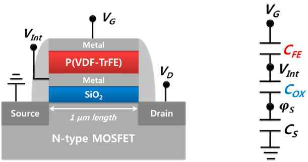 Ferroelectric capacitor와 MOSFET이 직렬 연결된 도식도(left) 및 capacitive network model(right)