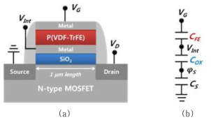 (a) Negative Capacitance(NC) FET의 그림 (ferroelectric capacitor가 MOSFET의 gate stack에 포함된 경우), (b) NCFET의 capacitor divider model (CFE와 COX의 직렬연결 구조를 통하여 capacitance를 증폭시킬 수 있음)