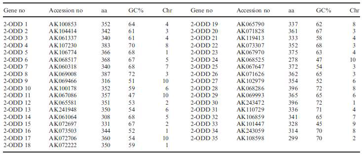 본 실험에 사용한 벼 2-ODD 유전자의 일반적 특성
