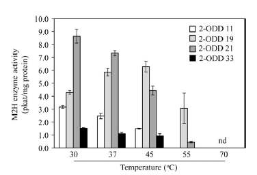 온도별 M2H 효소활성 측정 결과