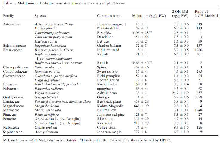 24 종의 식물체로부터 멜라토닌 및 2-OHMel 의 LC/MS 정량 분석 자료.