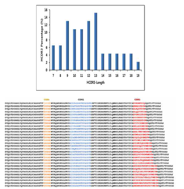 항체 라이브러리 HCDR3 길이의 분포와 서열 다양성