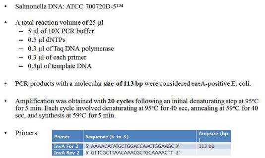 PCR 검출 조건