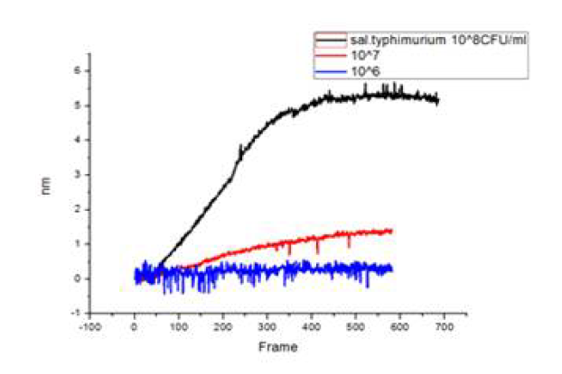 연구용 SPR 광학 측정 시스템을 이용한 Salmonella 검출