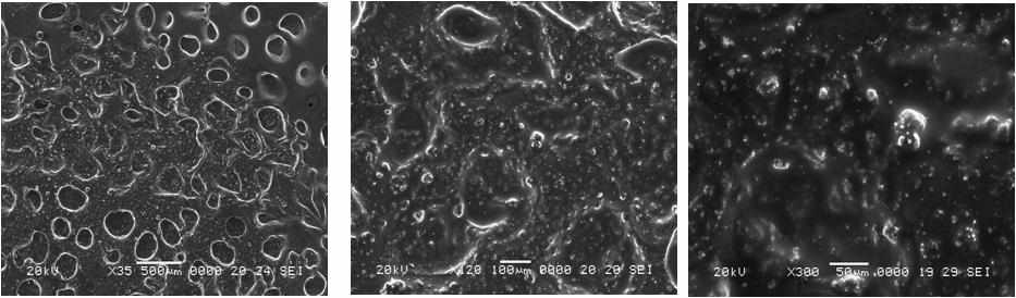 약물이 담지된 chitosan phthalate 나노입자 SEM 이미지