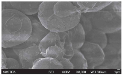 SEM image of TT-encapsulated chitosan. HPMC microspheres.