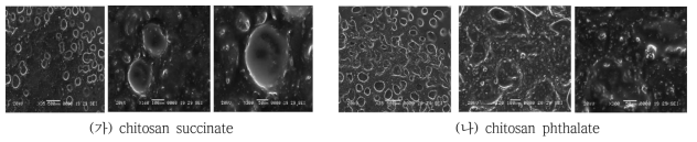 SEM images of drug loaded nano particle.