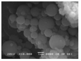 SEM images of optimized formulation condition.