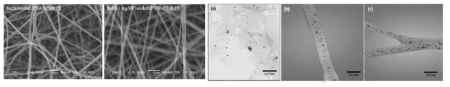 SEM and TEM Images of Nano fiber synthesized.