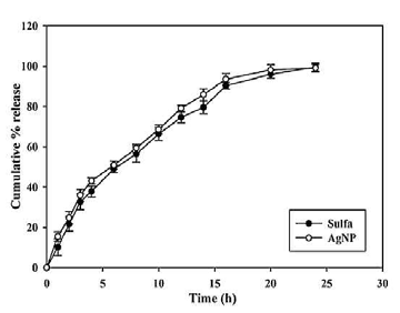 Sulfa. and AgNPs release from the nano particle.